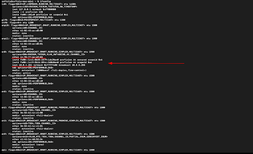 view IP on macOS