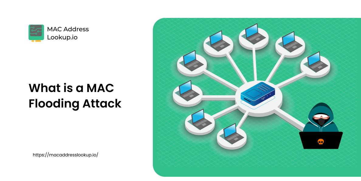 What is a MAC Flooding Attack - All You Need to Know About